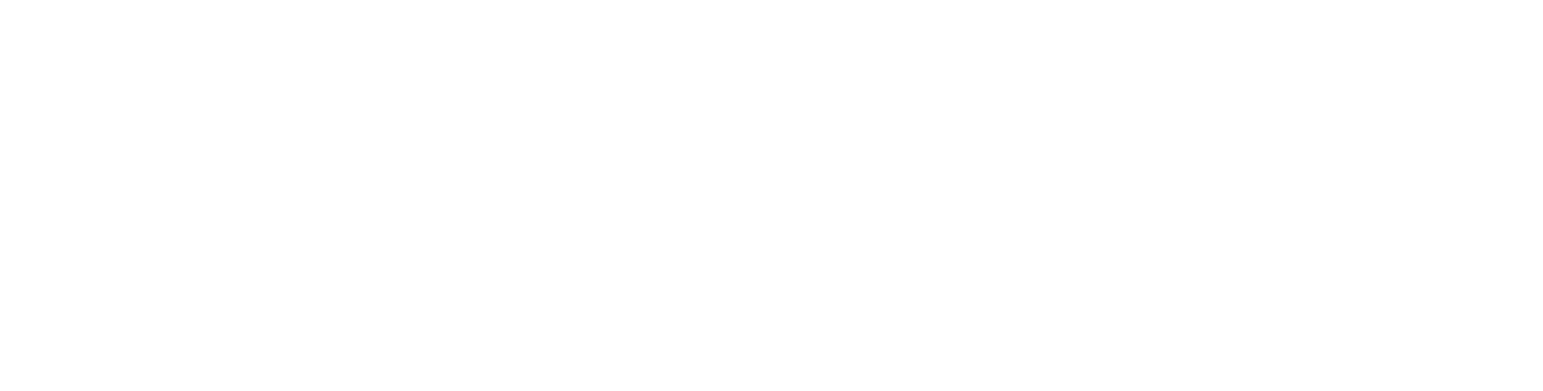 Logo Riddle