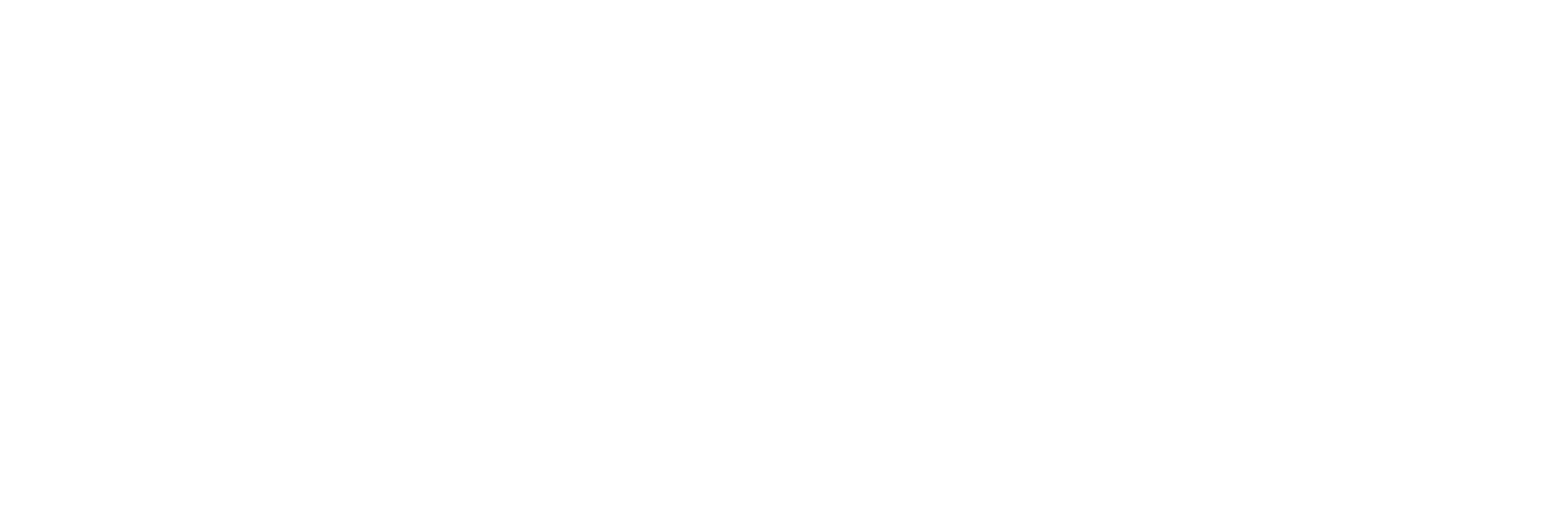 Logo Solitus