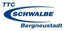 Team Image TTC Schwalbe Bergneustadt